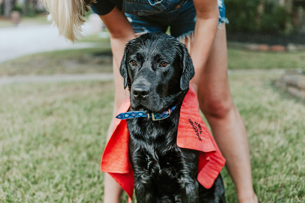 dog lovers towel