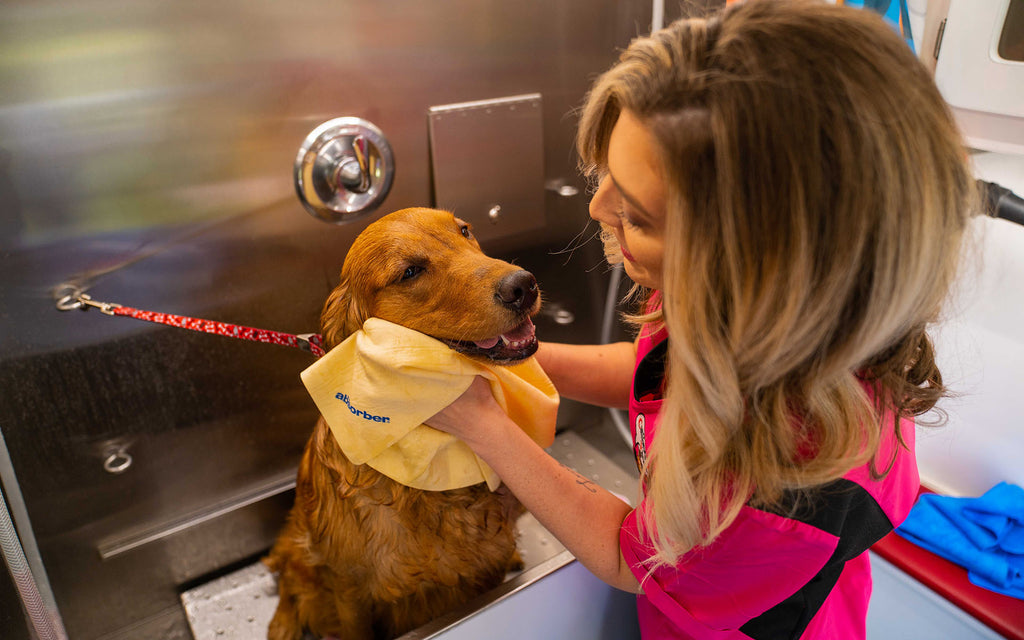 dog lovers towel