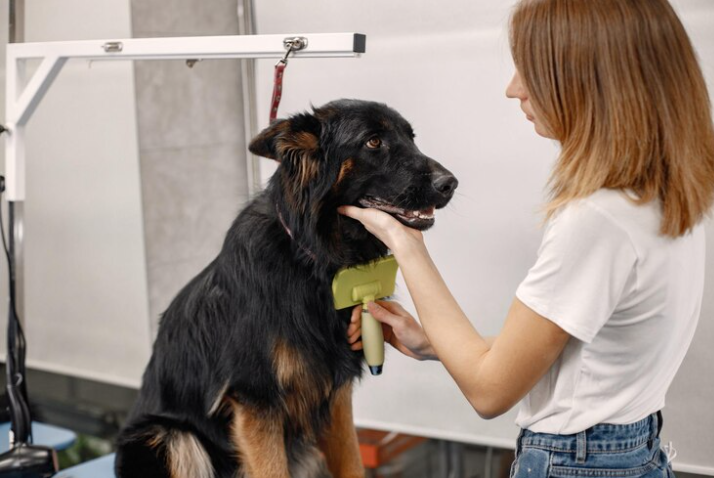 7 Tips to Keep Your Dog’s Head Still While Grooming