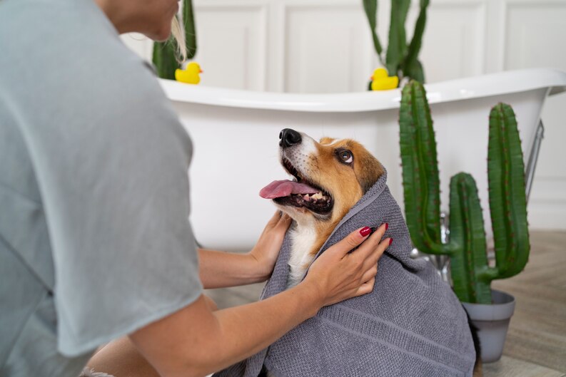 https://dogloverstowel.com/cdn/shop/articles/best_dog_drying_towel_55811b6e-7e6a-46c5-80dc-f30027f7008d_800x.jpg?v=1749455325