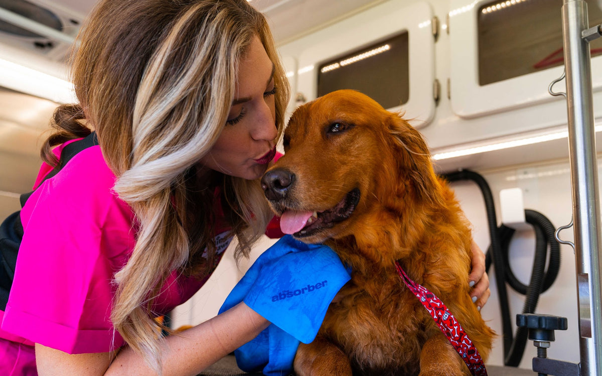 lady grooming furry dog with absorber towel