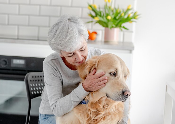 8 Best Senior Dog Care Tips